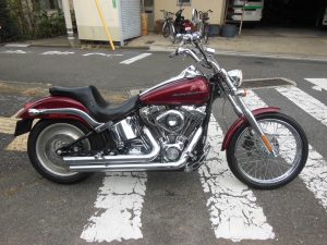 FXSTD1450